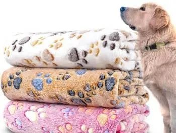pet blanket