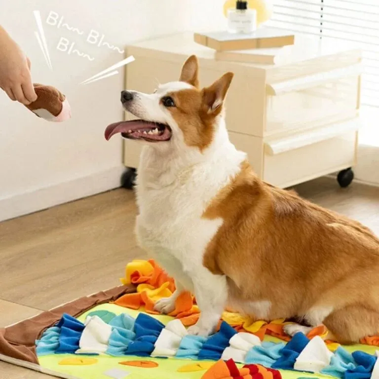 pet supplies