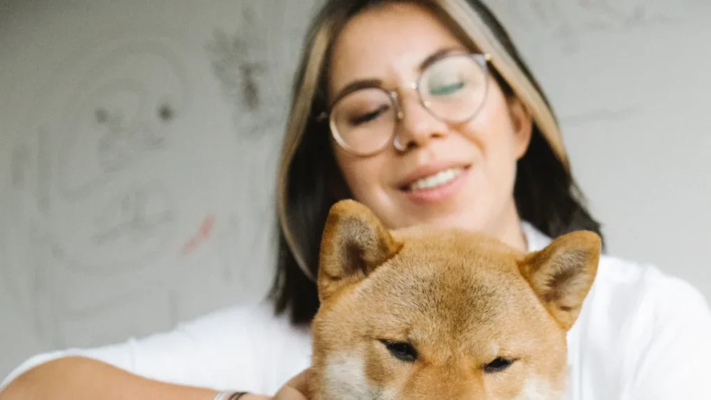 pet apparel factories1