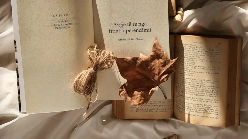 gift blanket supplier2