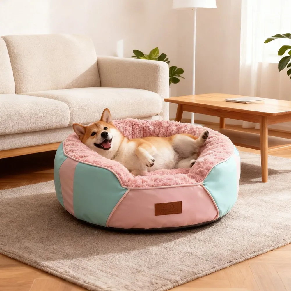 new pet bed