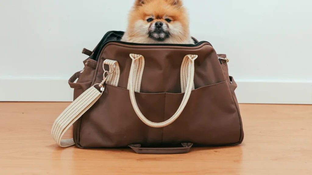 pet bag manufacturer4