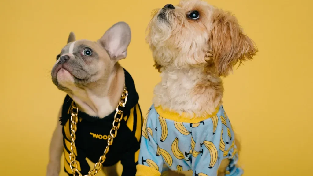 dog apparel supplier1