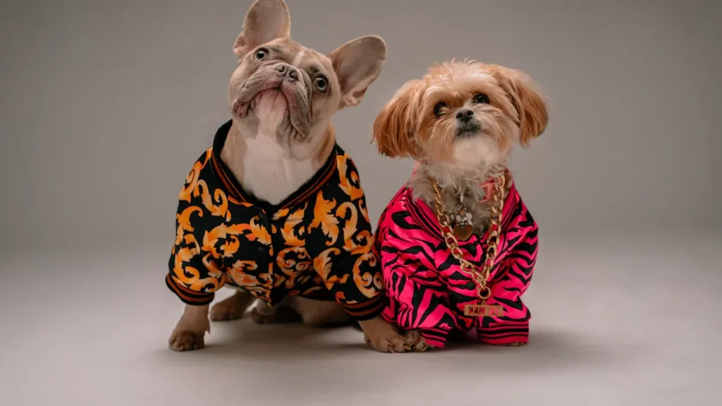 dog apparel supplier2