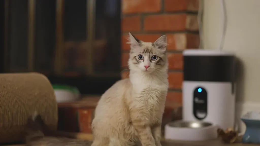 pet feeder manufacturer1