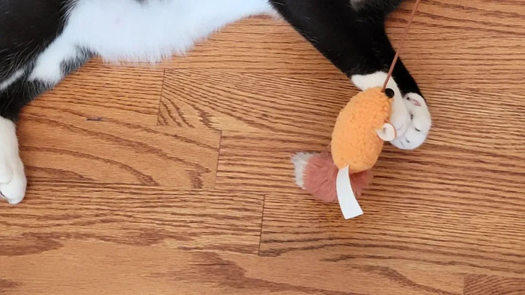 cat teaser supplier2