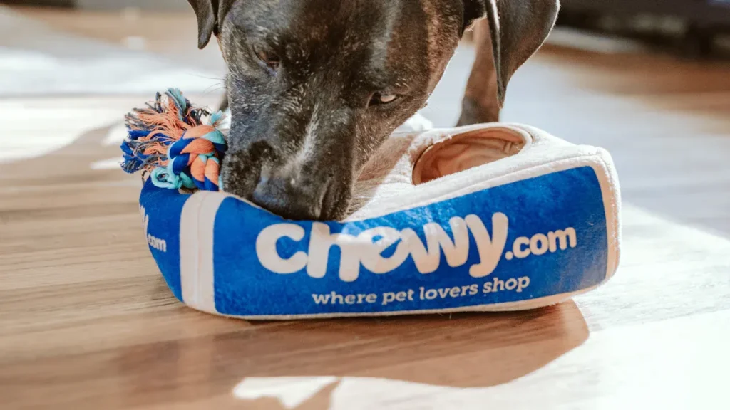 dog toy manufacturer6