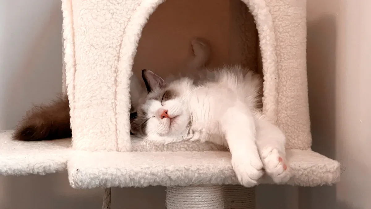 What’s Hot in Cat House Design for Modern Interiors