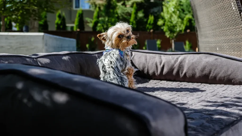 waterproof pet bed1